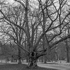 PXL_20240203_105336239