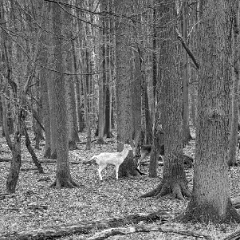 PXL_20240203_110313510