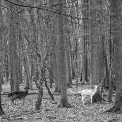 PXL_20240203_110317965