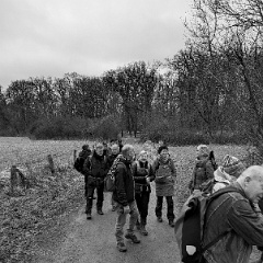 PXL_20240203_110824506