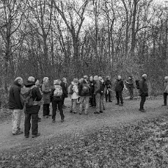 PXL_20240203_110843784