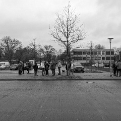 PXL_20240203_122841520