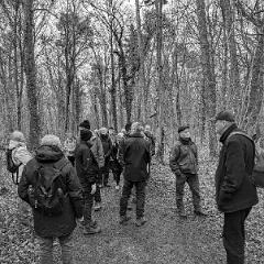 PXL_20240203_140221329