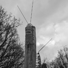 PXL_20240203_142441868