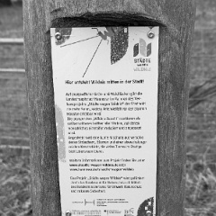 PXL_20240203_143149244