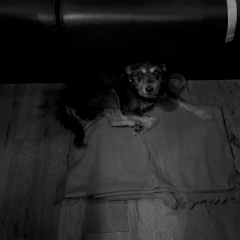 PXL_20240203_162743550