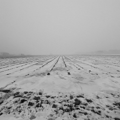 PXL_20260207_134248181