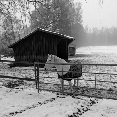 PXL_20260207_135524133